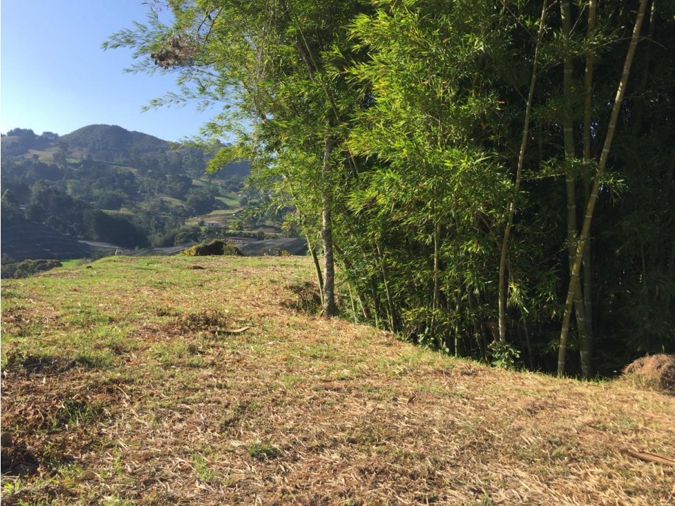 Venta De Lote En San Nicolas - 4