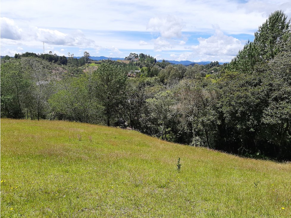 Venta Lote en el alto de las Palmas - 5