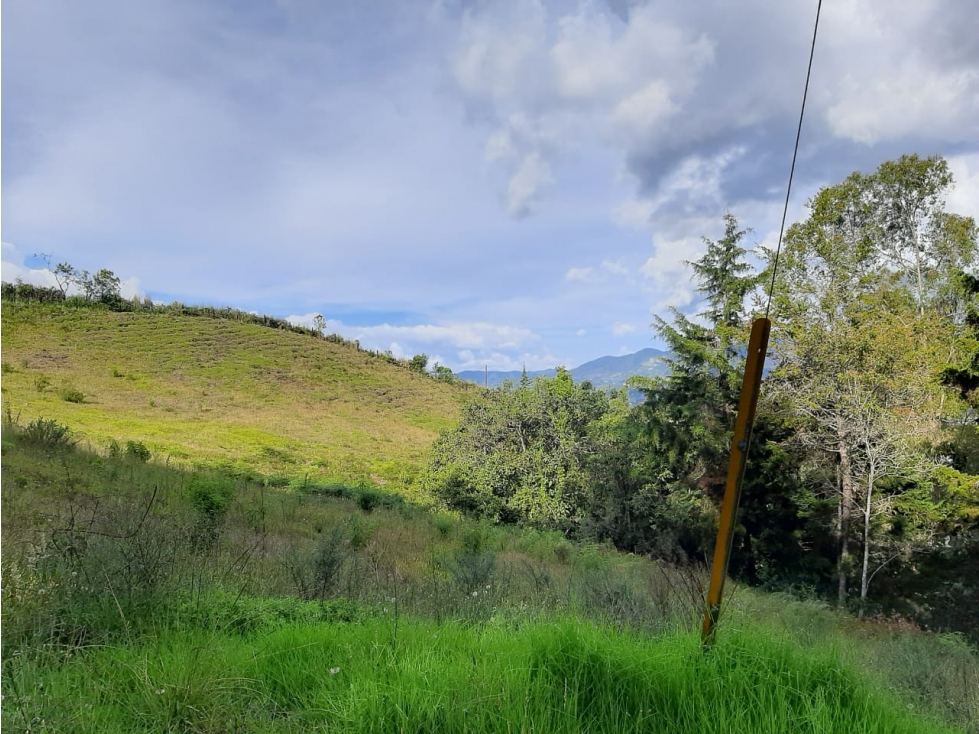 Venta de Lote con Hermosa vista a la Ceja — foto 5