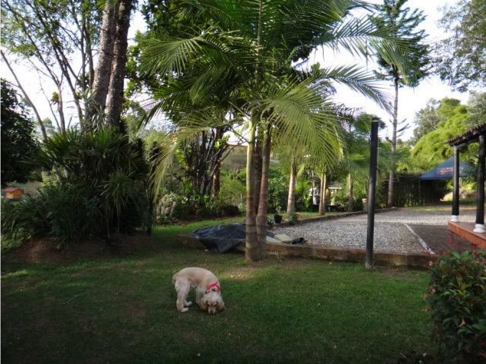 Venta de Finca en Rionegro - 5