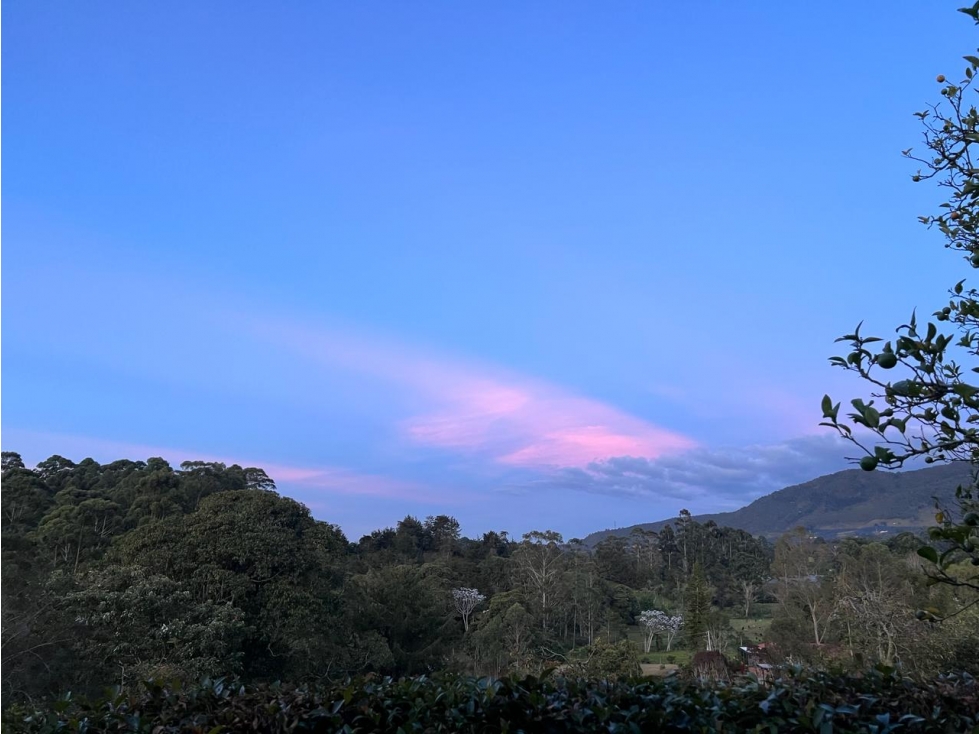 Venta Finca en el Carmen de Viboral sector Aguas Claras — foto 5