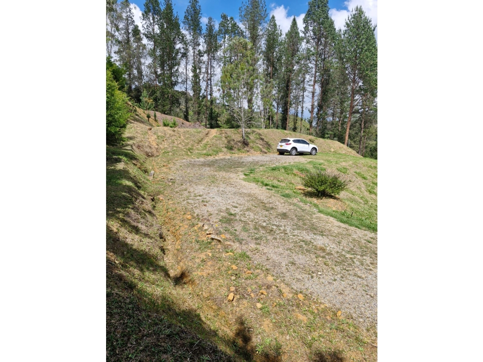 Lote en Venta con Bosque y dos Explanaciones — foto 3