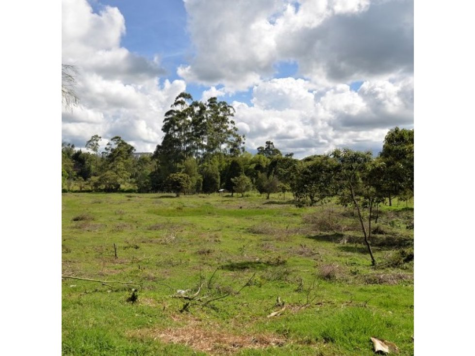 Venta Lote Industrial Guarne — foto 6
