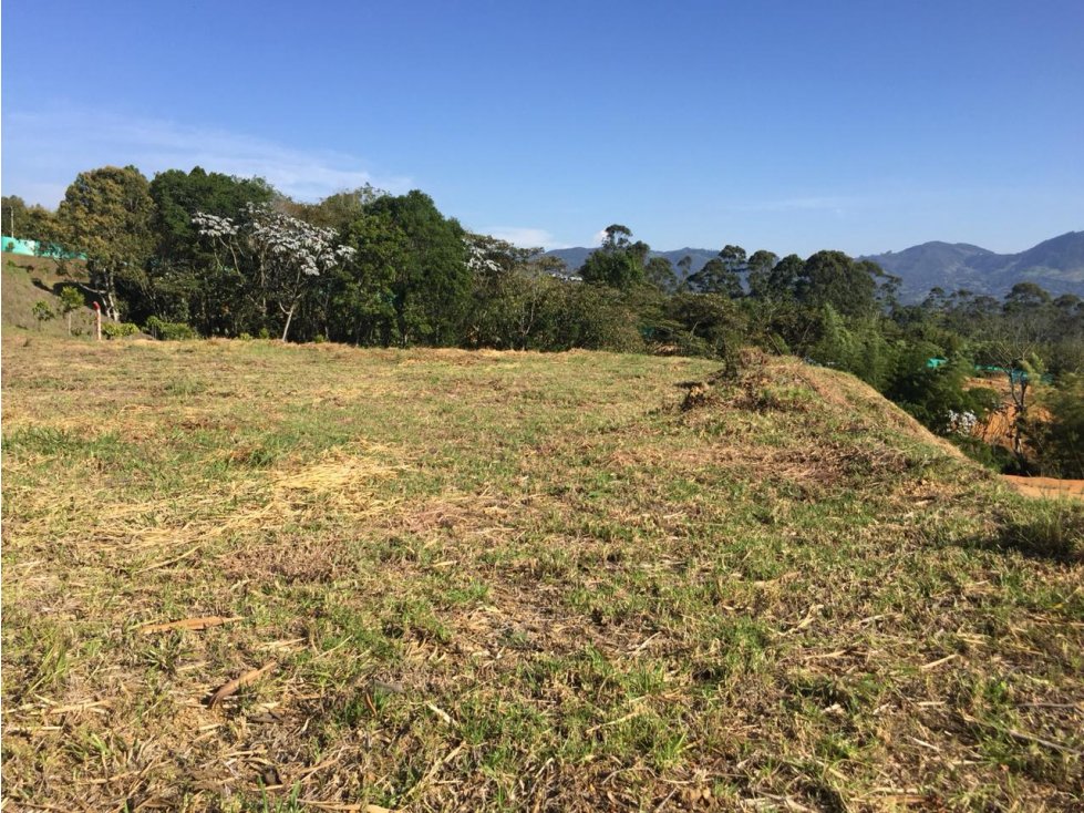 Venta De Lote En San Nicolas - 5