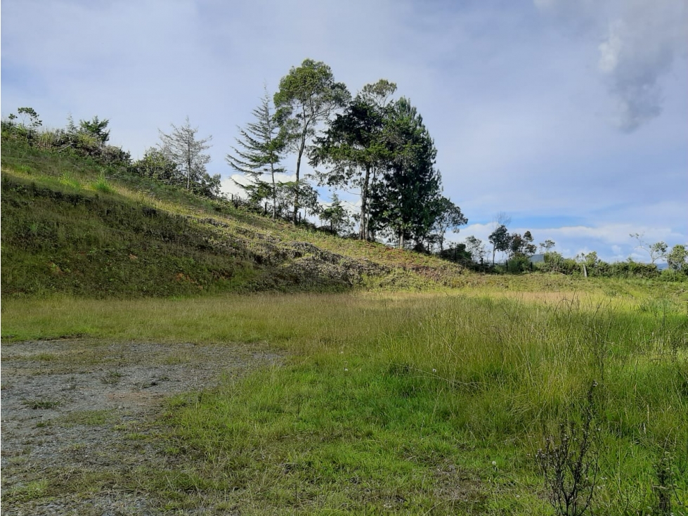 Venta de Lote con Hermosa vista a la Ceja — foto 6