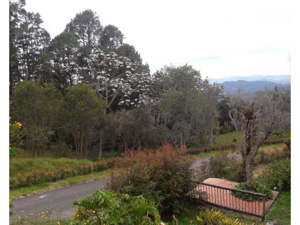 Venta de casa campestre en el Alto de las Palmas — foto 4