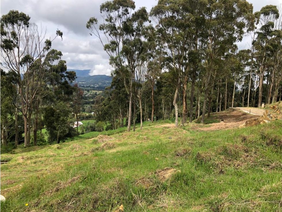 Venta de Lote en Unidad Cerrada en el Alto de Palmas