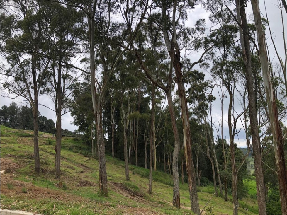 Venta de Lote en Unidad Cerrada en el Alto de Palmas — foto 2