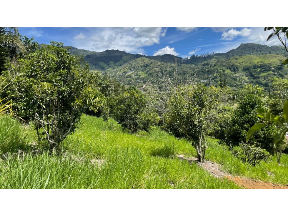 LOTE EN VENTA, GIRARDOTA, VEREDA EL TOTUMO, DENTRO DE PARCELACION - 1