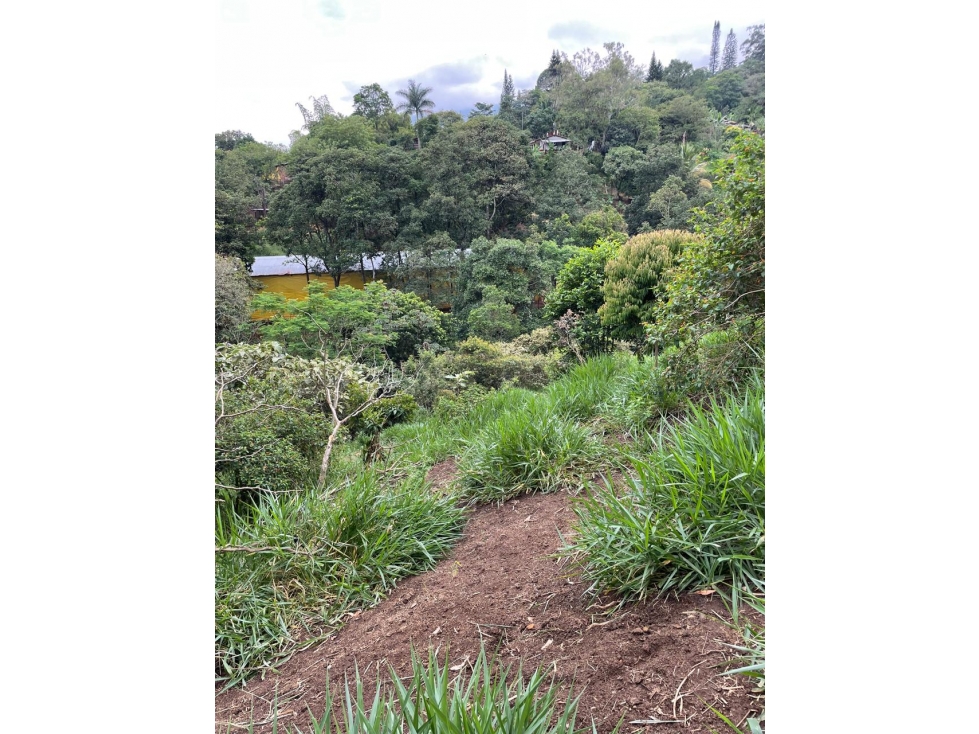 LOTE EN VENTA, GIRARDOTA, VEREDA EL TOTUMO, DENTRO DE PARCELACION - 3