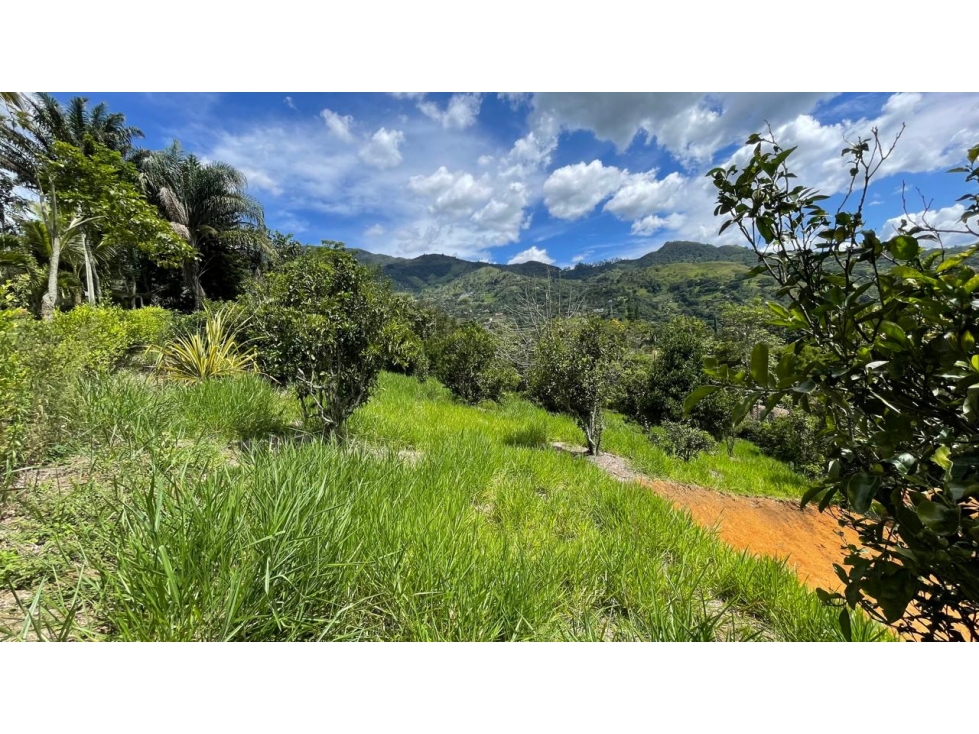LOTE EN VENTA, GIRARDOTA, EL TOTUMO (DENTRO DE PARCELACION) - 4