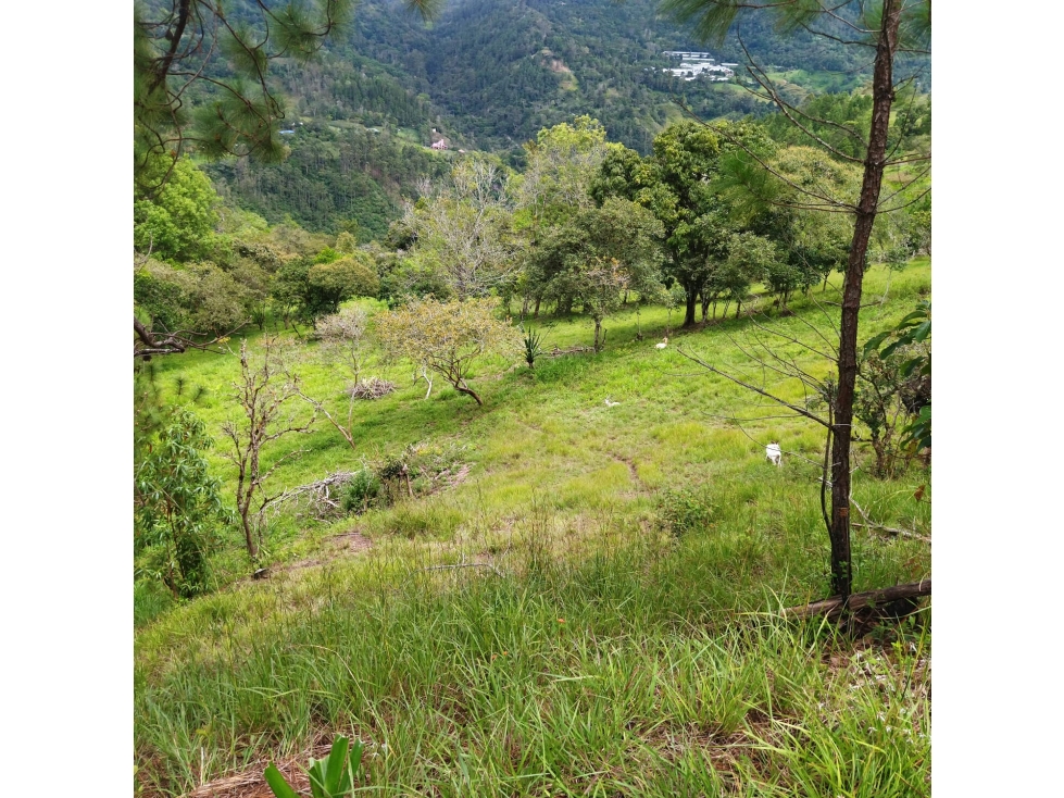 Lote de Terreno en GUATEQUE - 1