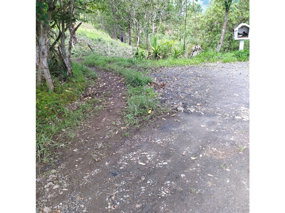 Lote de Terreno en GUATEQUE - 5