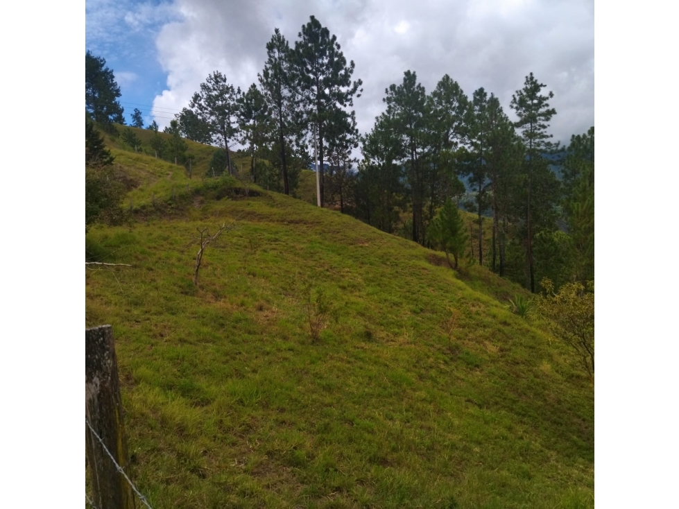 Lote de Terreno en GUATEQUE - 3