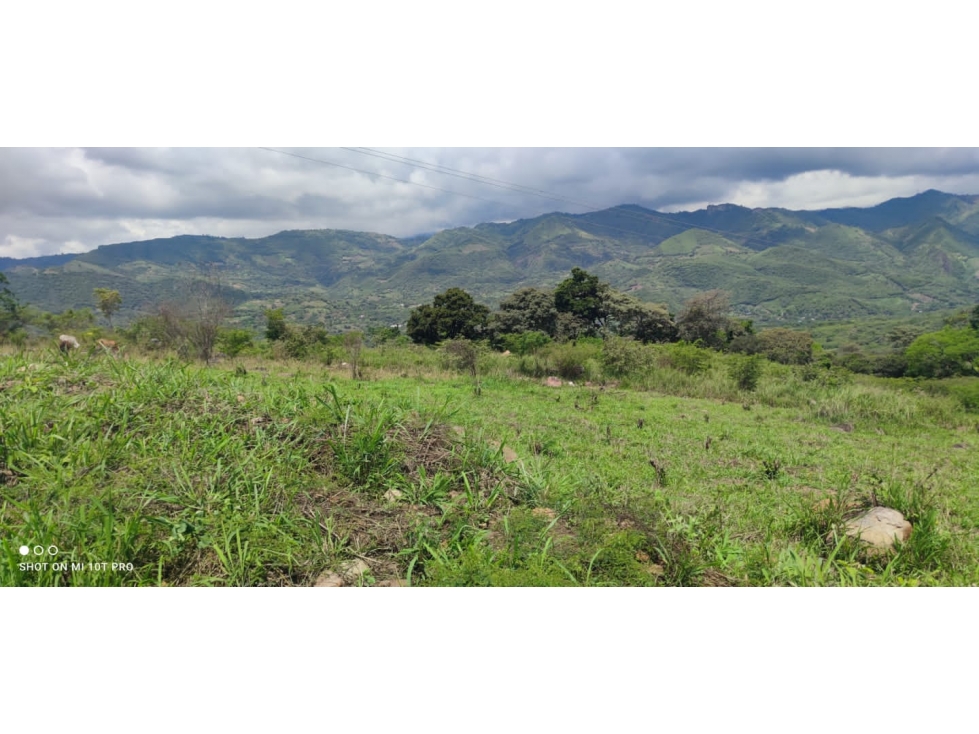 LOTES EN LA MESA CUNDINAMARCA — foto 3