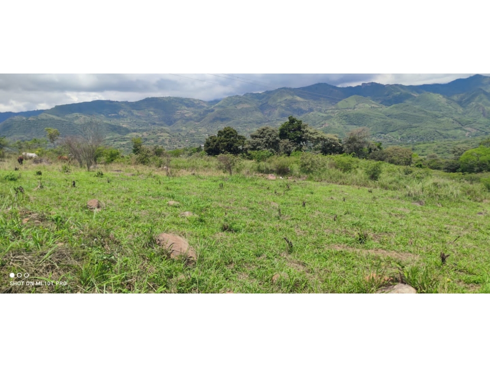 LOTES EN LA MESA CUNDINAMARCA — foto 4