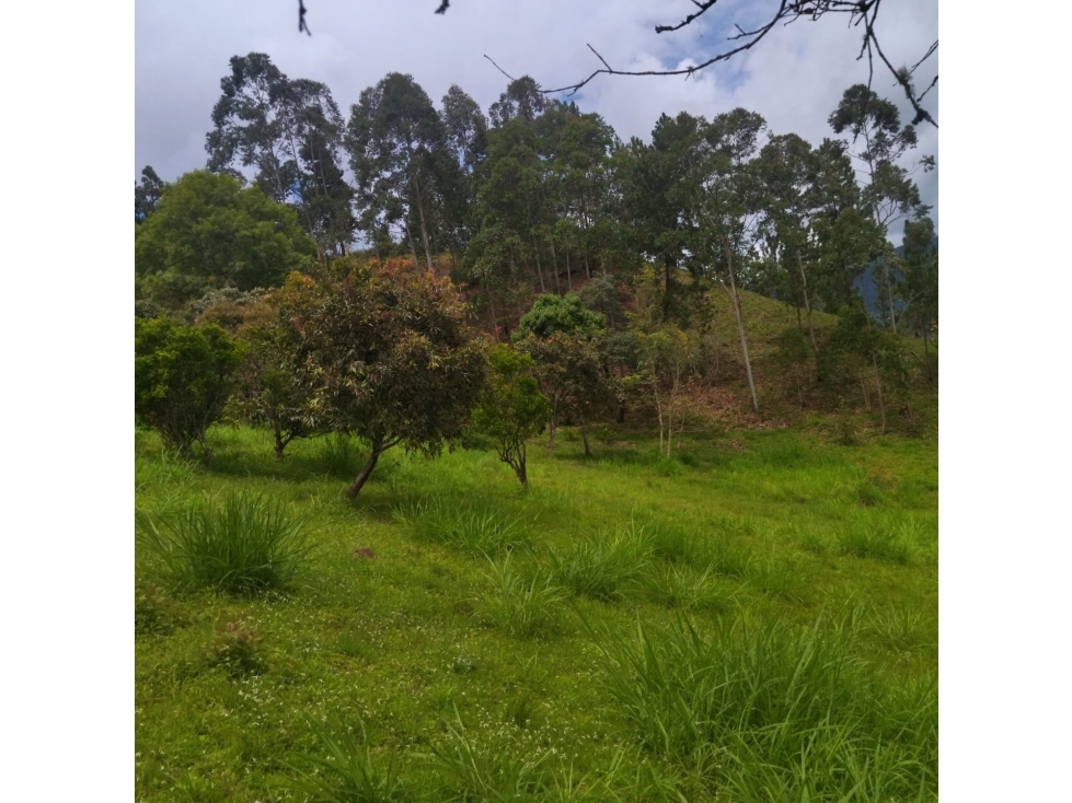 Lote de Terreno en GUATEQUE - 6