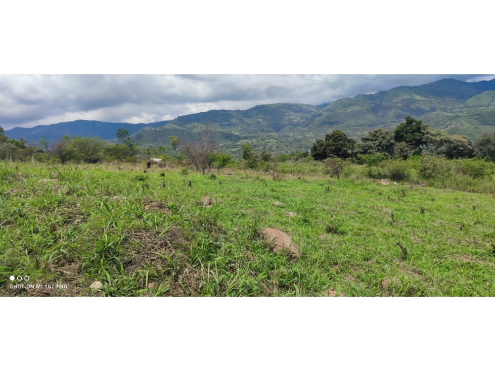 LOTES EN LA MESA CUNDINAMARCA — foto 6