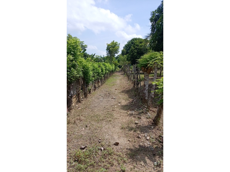 LOTE DISPONIBLE PARA VENTA - 2