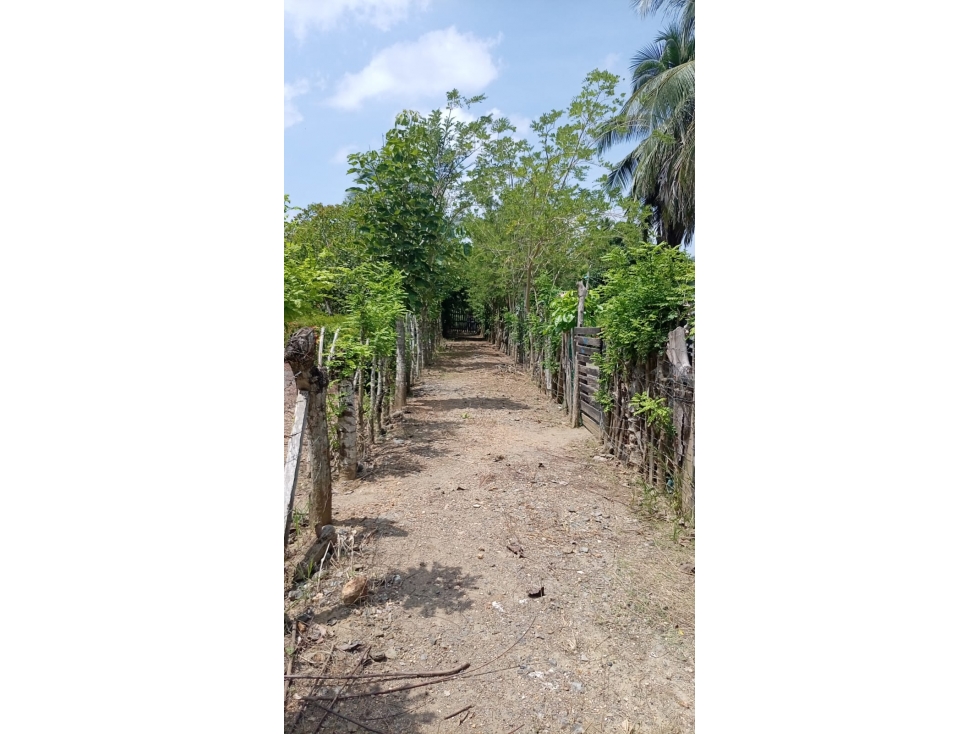 LOTE DISPONIBLE PARA VENTA - 3