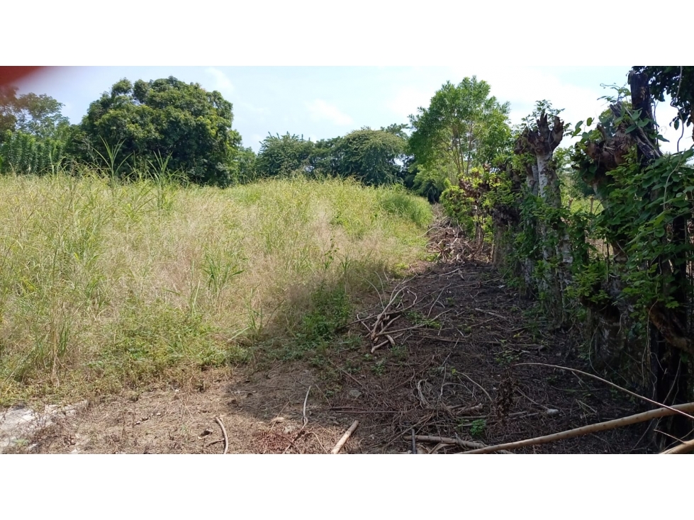 LOTE DISPONIBLE PARA VENTA - 4