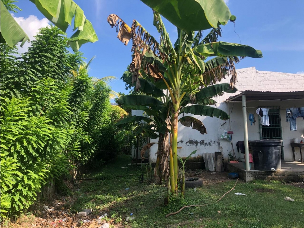 CASA FINCA DISPONIBLE PARA VENTA VEREDA LAS BABILLAS — foto 4