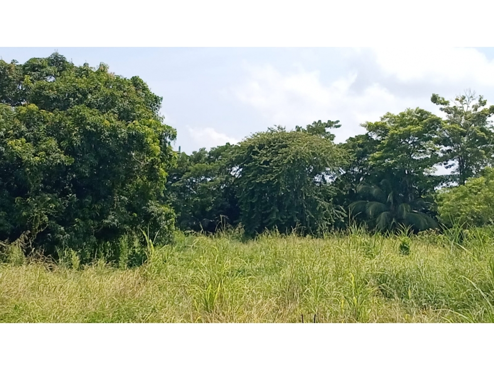 LOTE DISPONIBLE PARA VENTA - 5