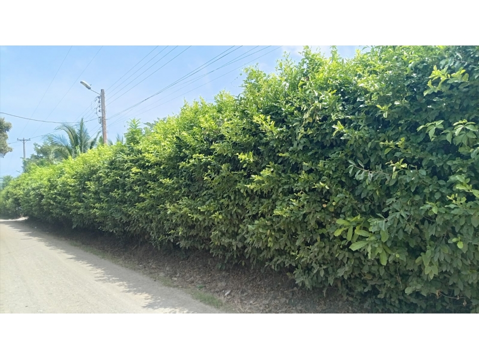 LOTE DISPONIBLE PARA VENTA - 1