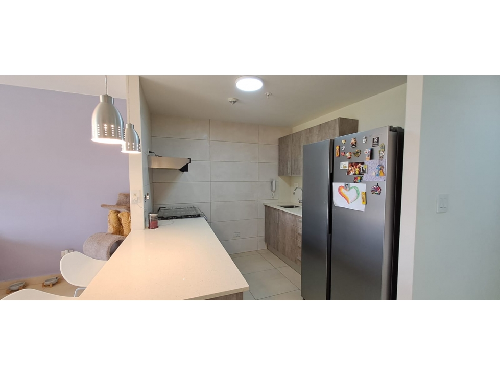 Apartamento Amoblado en Venta PH Parterre, Panamá Pacífico — foto 4