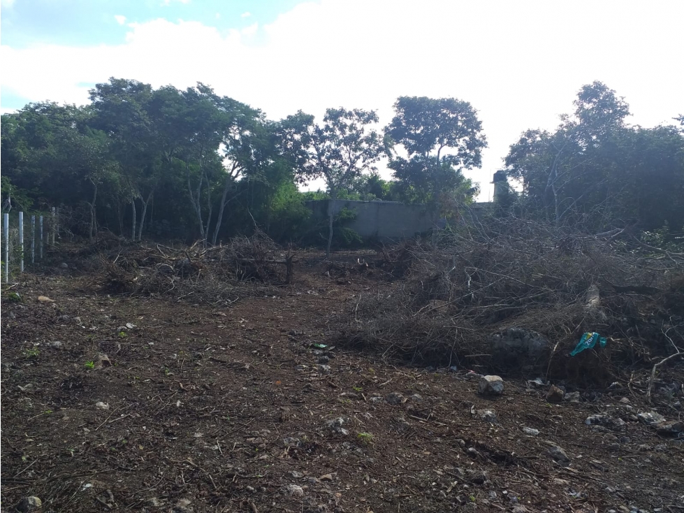 excelente terreno en sitpach, Yucatán - 2