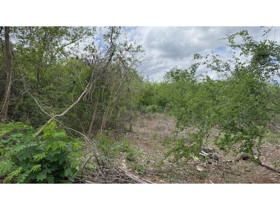 Terreno en Tixkokob - 3