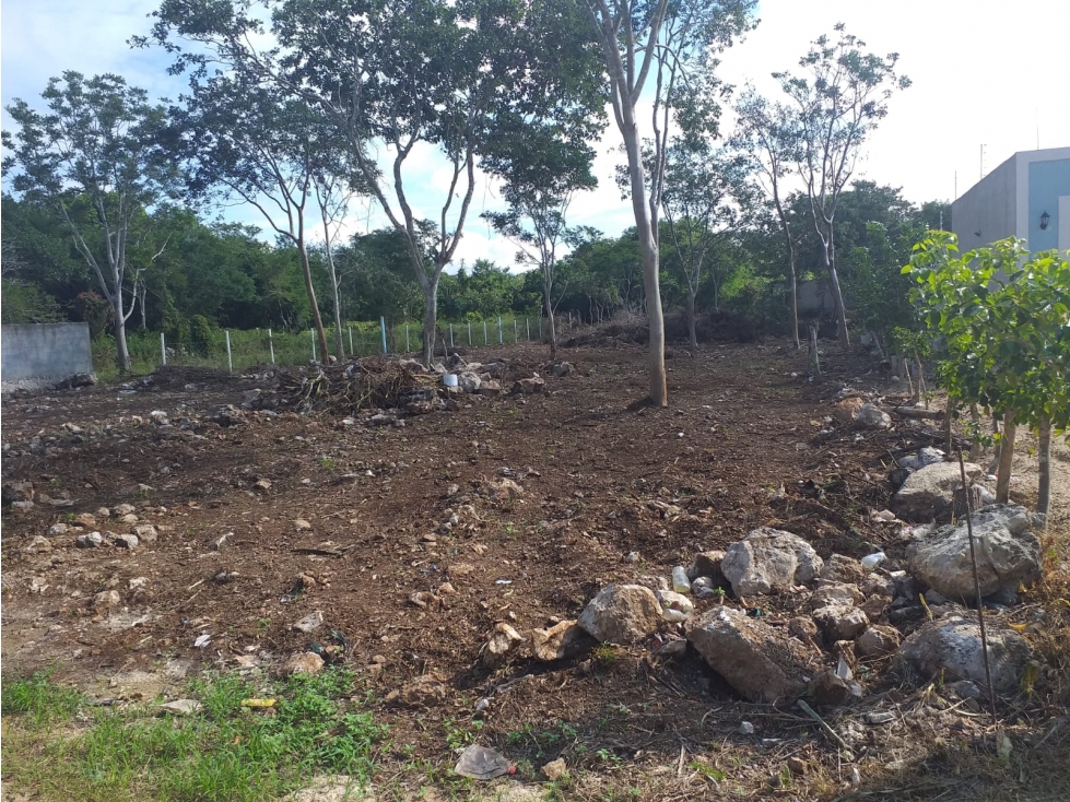 excelente terreno en sitpach, Yucatán - 1