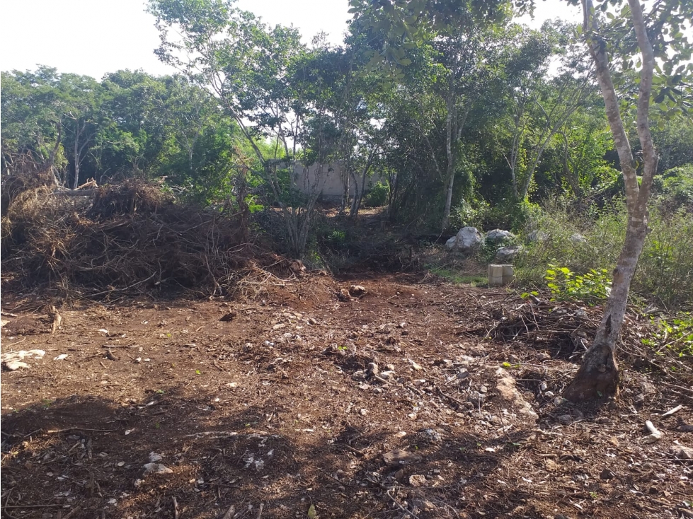 excelente terreno en sitpach, Yucatán - 4
