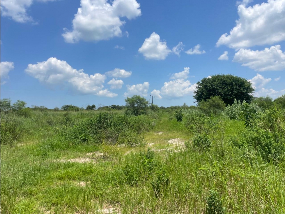 VENTA DE TERRENO EN TELCHAC PUEBLO - 1