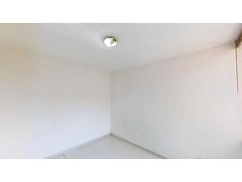 EUCALIPTO — foto 4
