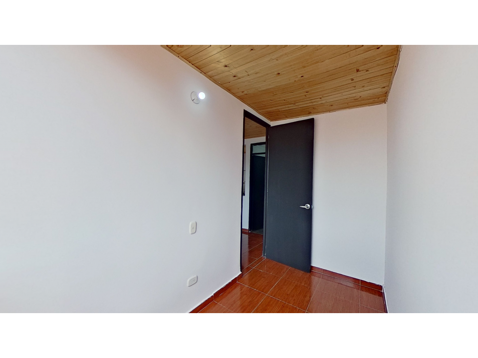 LIRIO — foto 3