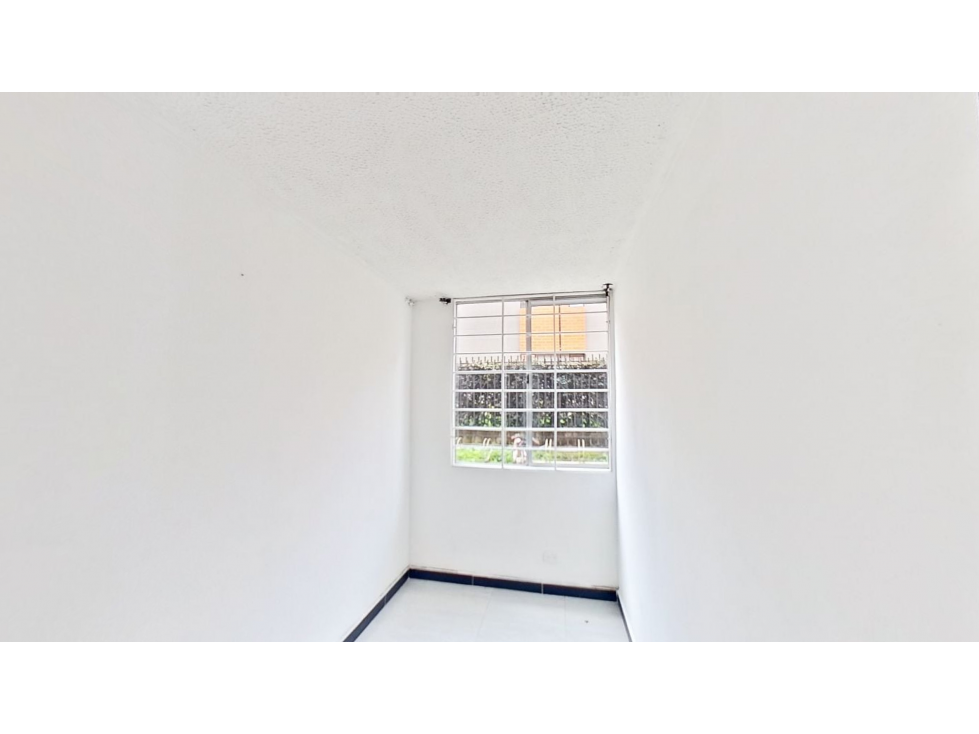 ARÁNDANO — foto 2