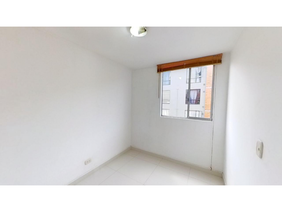 EUCALIPTO — foto 3