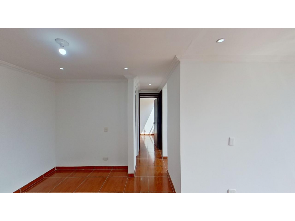 BUGANVILLA — foto 5