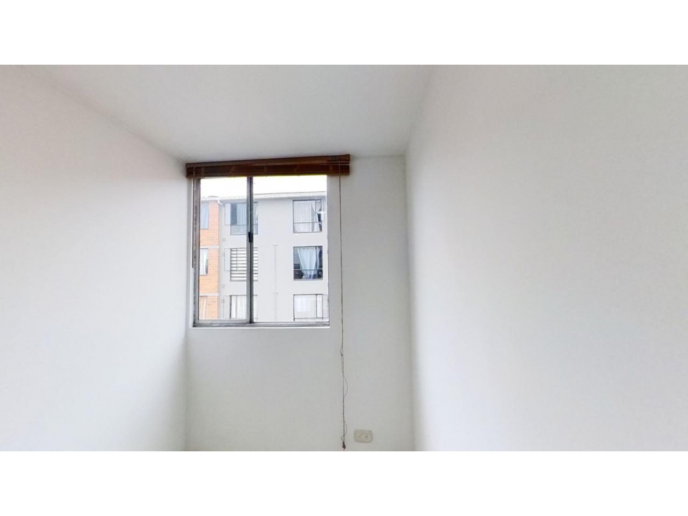 EUCALIPTO — foto 5