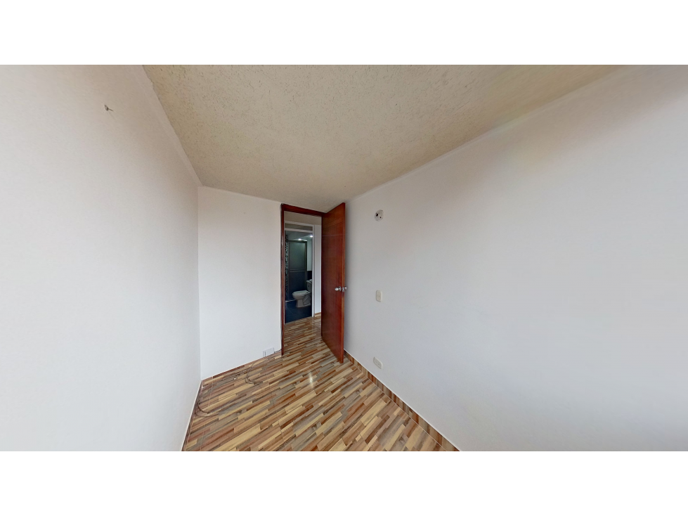 EUCALIPTO — foto 3
