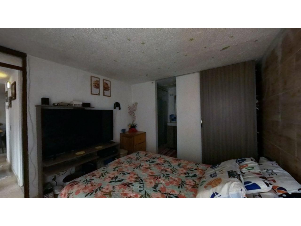 FRAILEJON 3 — foto 6