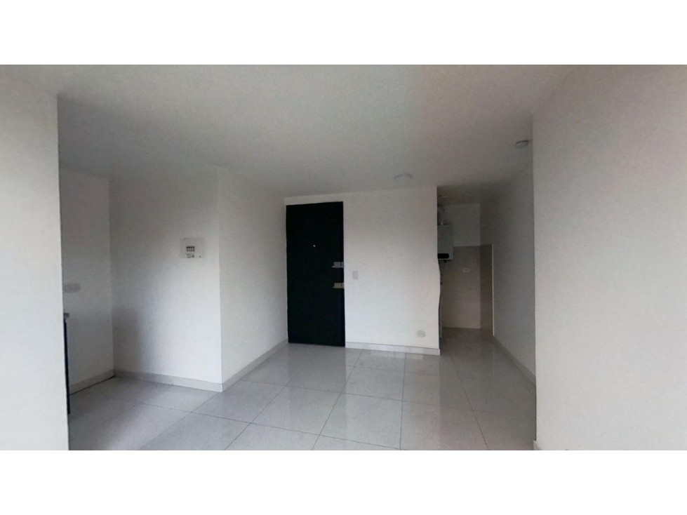 Lunaria — foto 3
