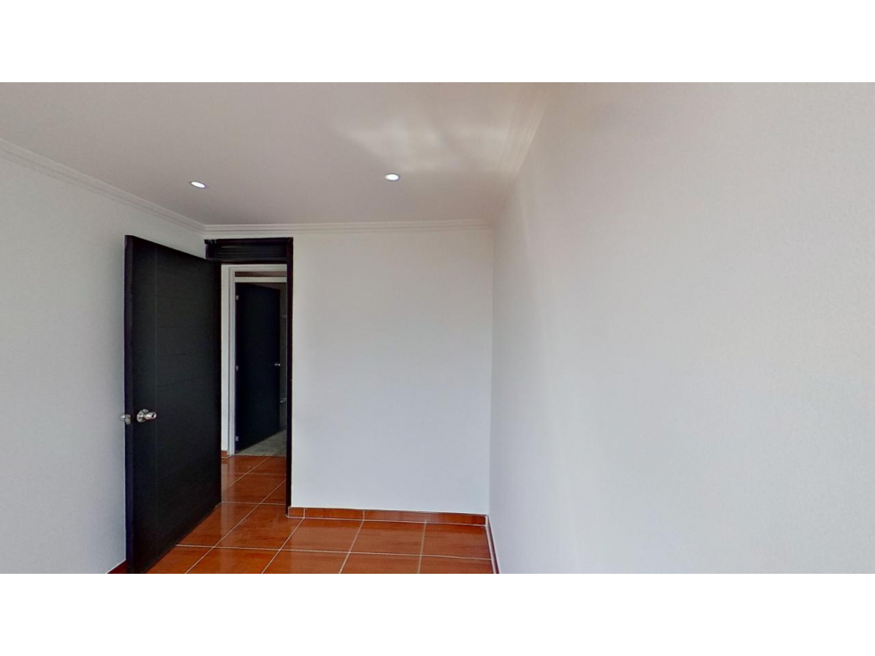 BUGANVILLA — foto 3