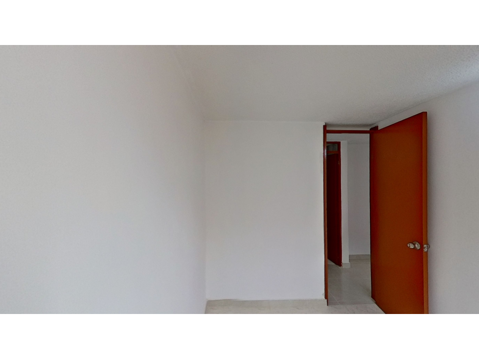 AGAPANTO 1 — foto 5