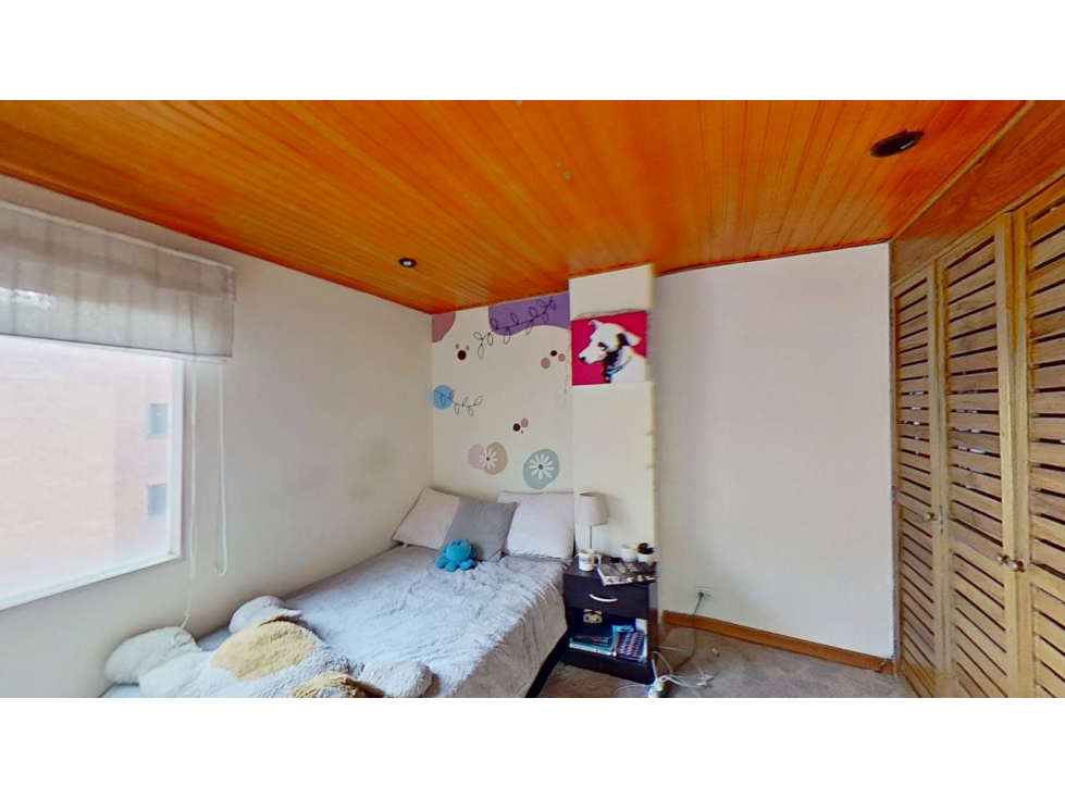 cedro madeira etapa v — foto 4