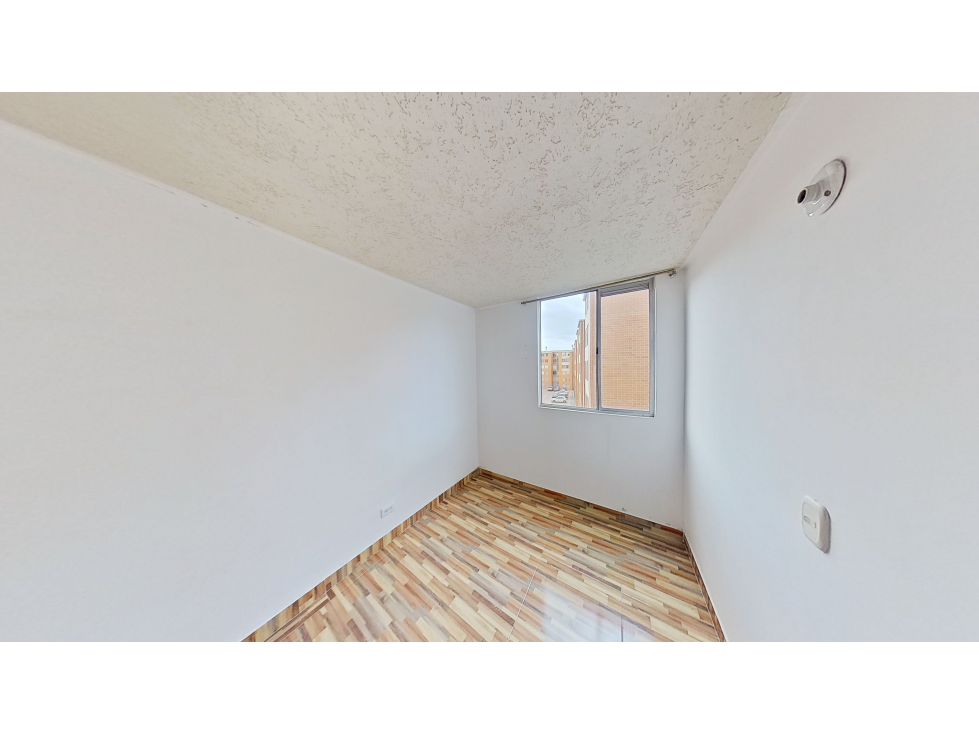 EUCALIPTO — foto 5