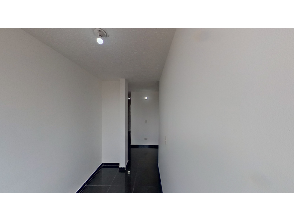 MAGNOLIOS — foto 5
