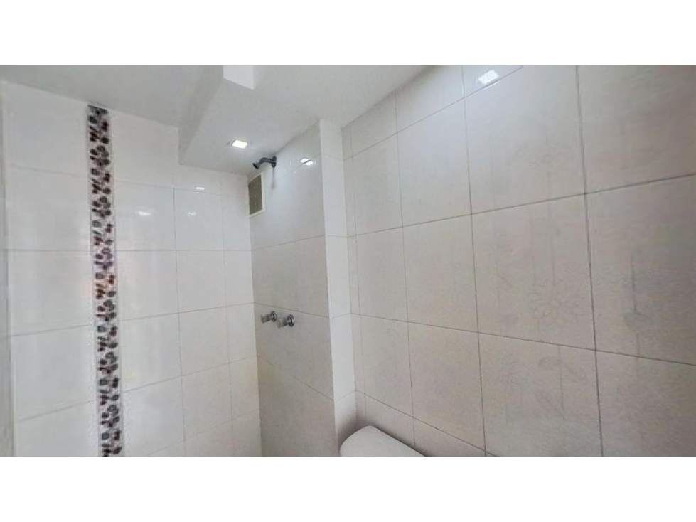 EUCALIPTO — foto 6