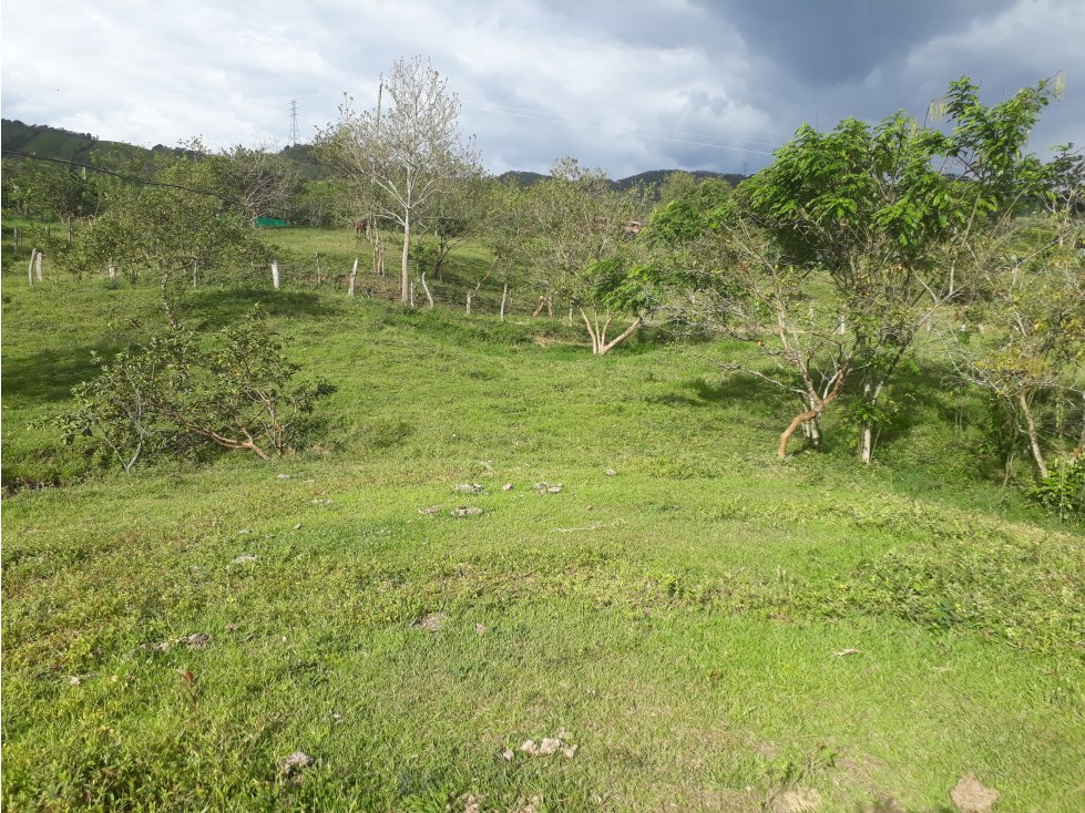 Vendo lote Campestre en Villeta - 1